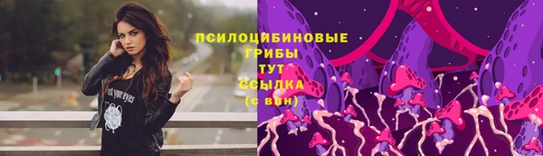 a pvp Осинники
